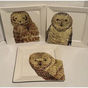 Creative Co-op Owl Decorative Plate 10”x10” Lot Of 3